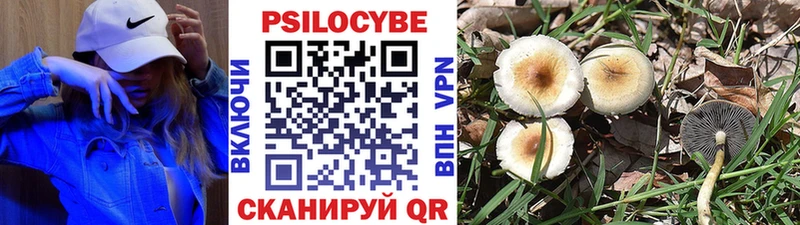 Псилоцибиновые грибы Magic Shrooms купить цена Мостовской